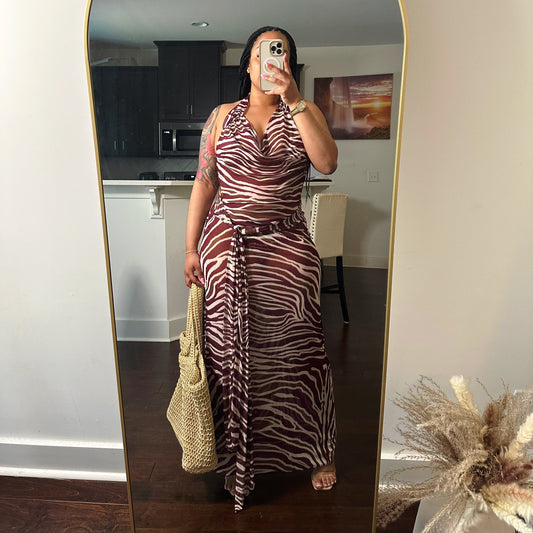 Wild Obsession Zebra Print Mesh Maxi Cover-Up